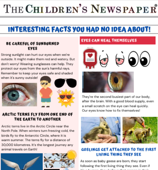 Collab – Online Learning Platform